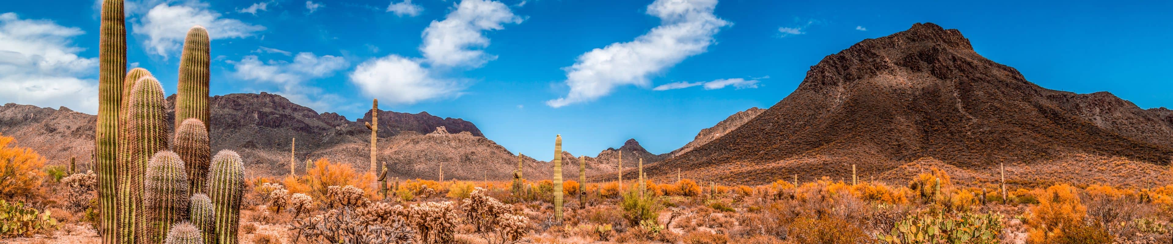 Scenic photo of Arizona