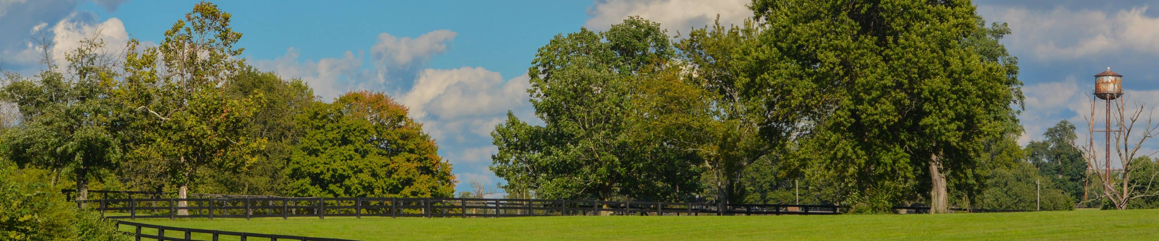 Scenic photo of Kentucky