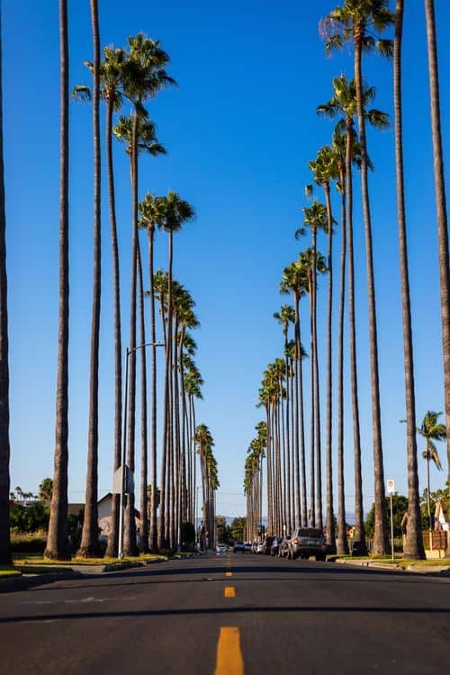 Scenic photo of {{ name }}