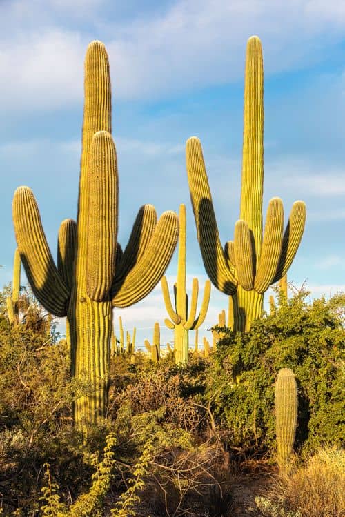 Foto panorámica de {{ name }}