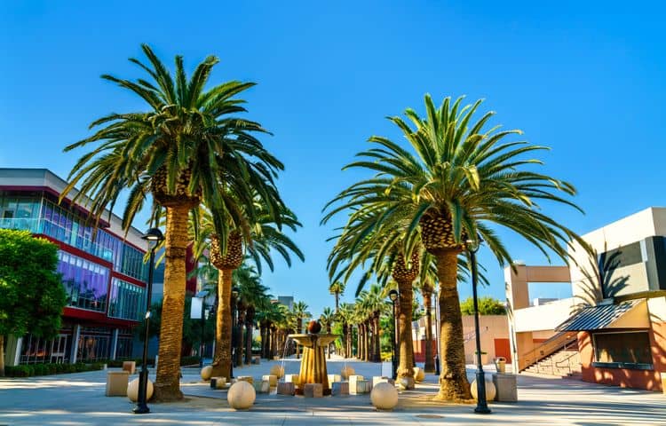 Photo of San Jose State University