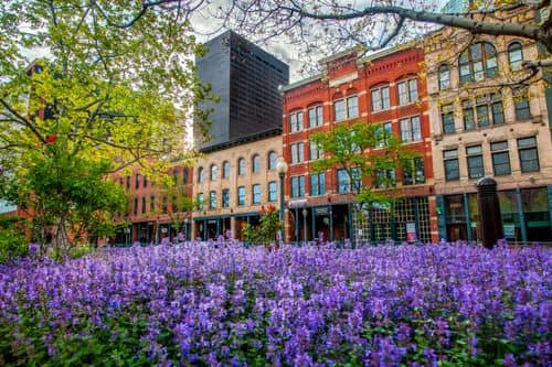 Scenic photo of {{ name }}