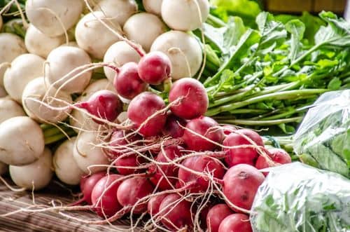 Scenic photo of {{ name }}