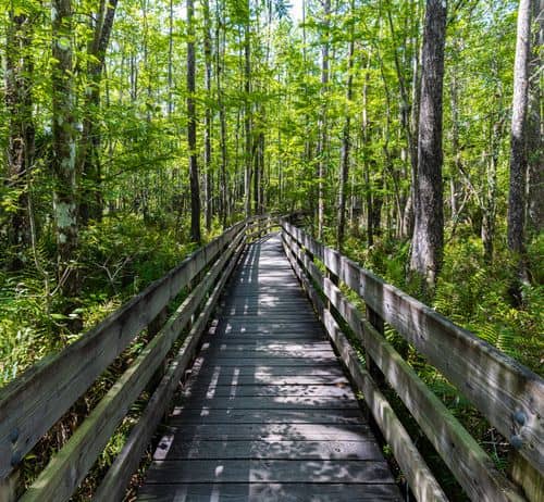 Foto panorámica de {{ name }}