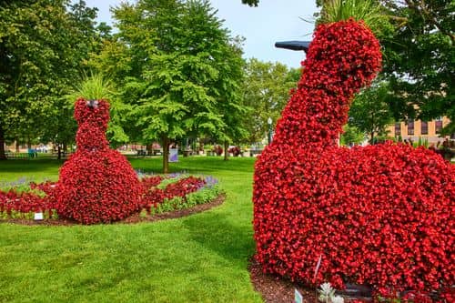 Scenic photo of {{ name }}