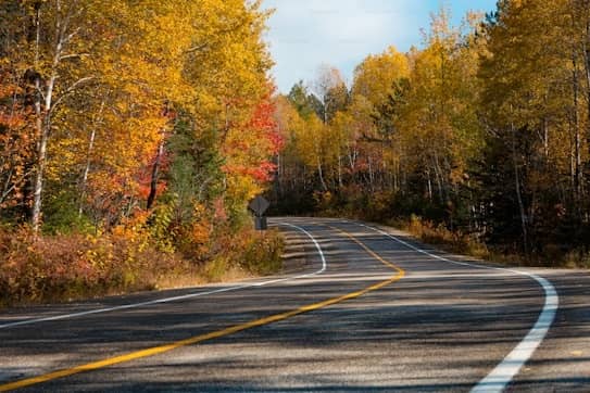 A road cuts through scenic autumn woods