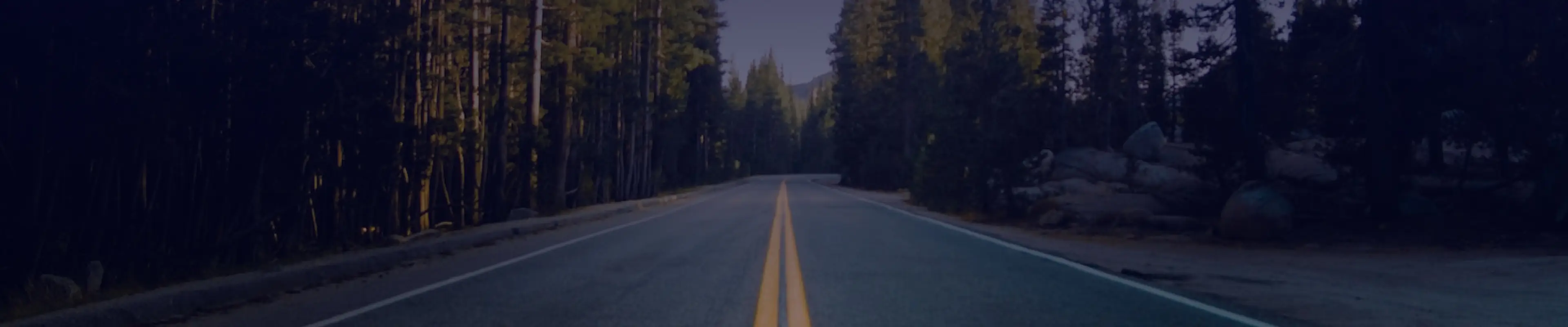 Road traveling into scenic woods
