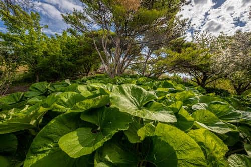 Scenic photo of {{ name }}